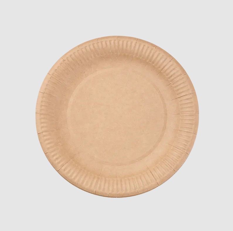 Why Are Biodegradable Paper Plates Reshaping Catering Packaging?